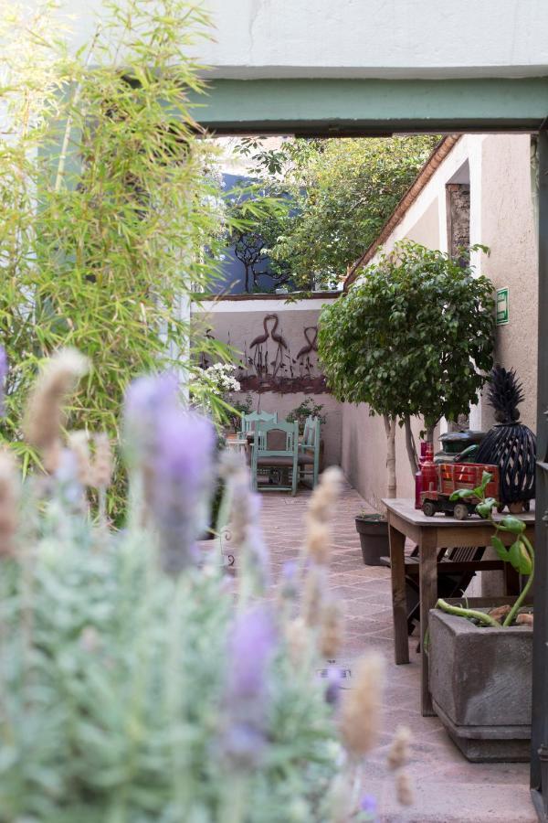 La Casa Del Atrio Hotel Querétaro Kültér fotó